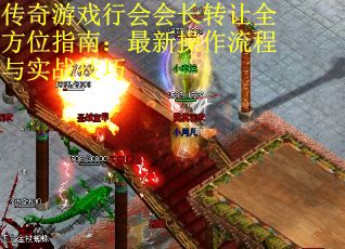 传奇游戏行会会长转让全方位指南：最新操作流程与实战技巧