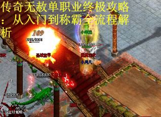 传奇无赦单职业终极攻略：从入门到称霸全流程解析