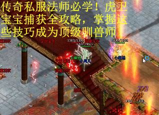 传奇私服法师必学！虎卫宝宝捕获全攻略，掌握这些技巧成为顶级驯兽师