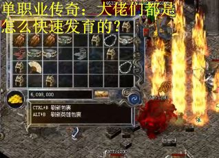 单职业传奇：大佬们都是怎么快速发育的？