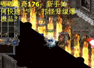 嘟嘟传奇176：新手如何快速上手，打怪升级爆极品？