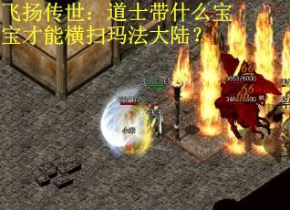 飞扬传世：道士带什么宝宝才能横扫玛法大陆？