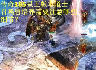 传奇185星王版本道士召唤兽培养需要注意哪些细节？