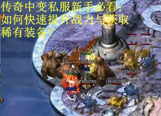 传奇中变私服新手必看：如何快速提升战力与获取稀有装备？