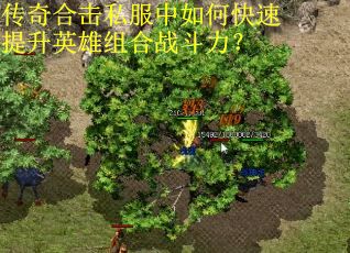 传奇合击私服中如何快速提升英雄组合战斗力？